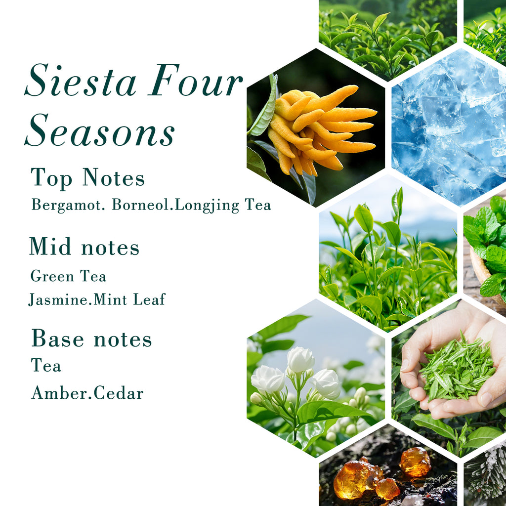 500ML Four Seasons Hotel Fragrance Oil