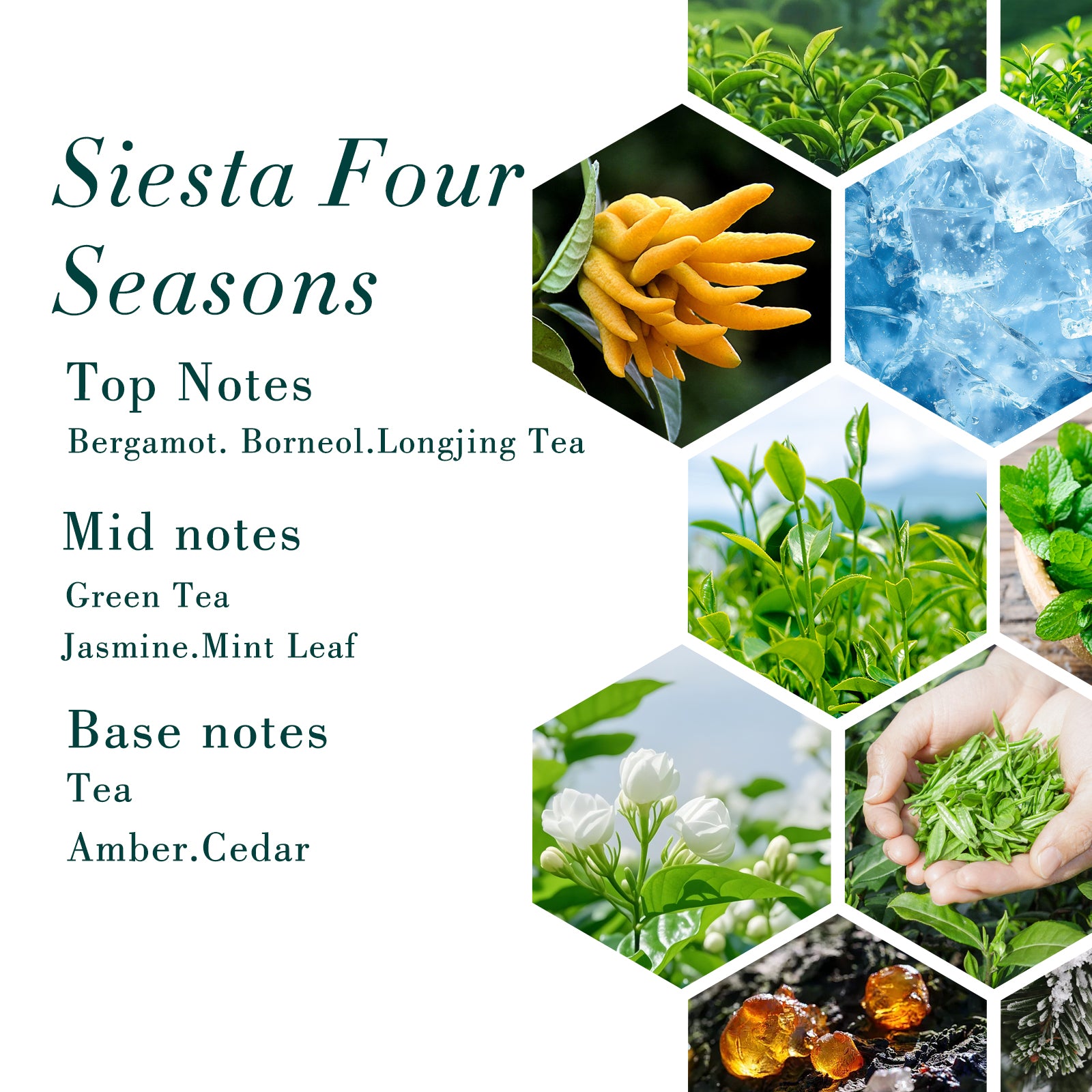500ML Four Seasons Hotel Fragrance Oil